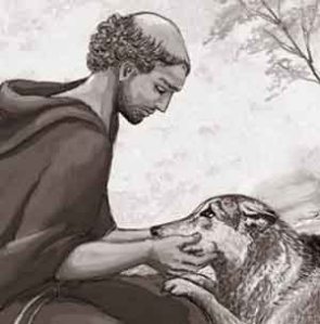 Francisco acaricia al lobo de Gubio